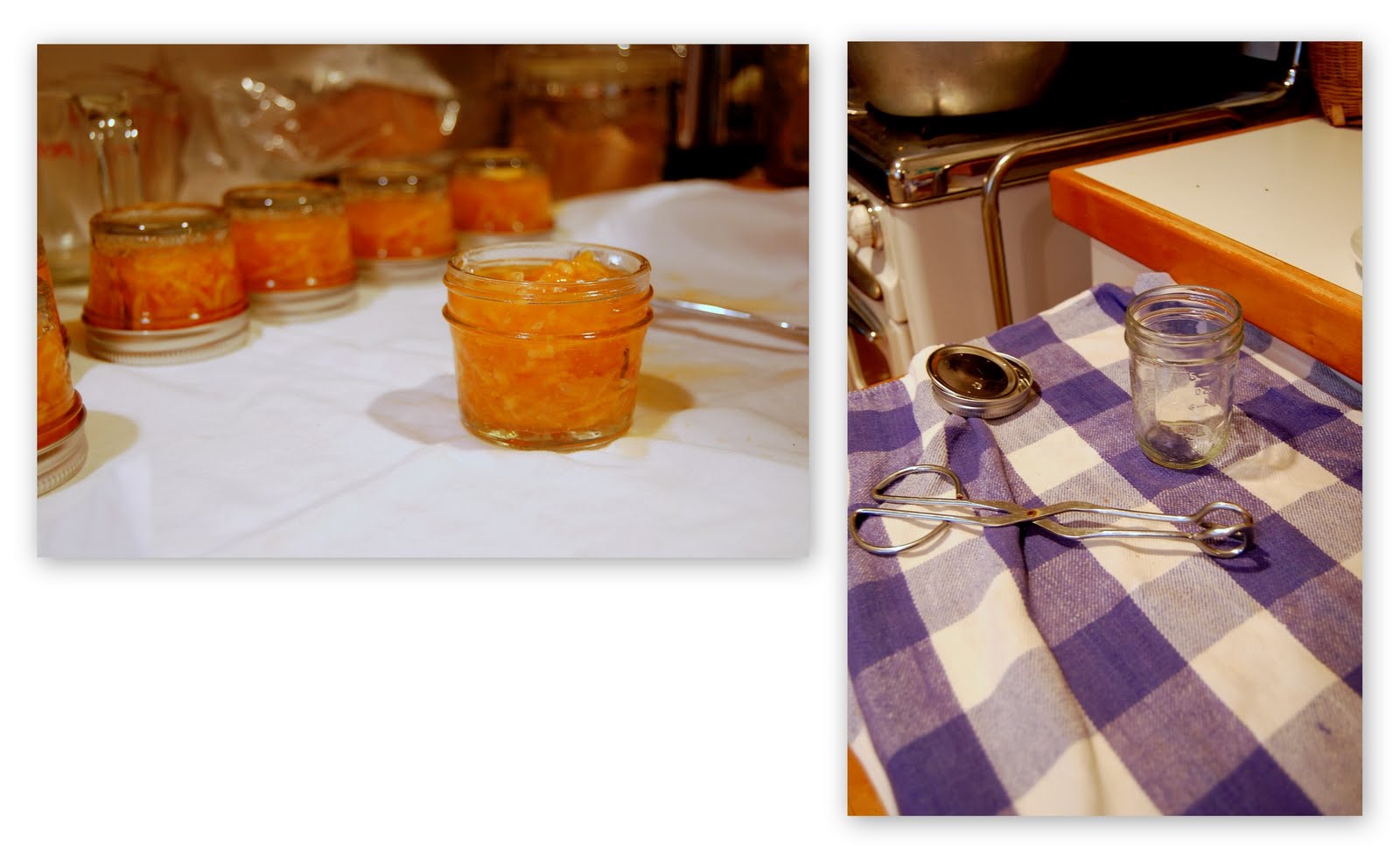 ZZ Eats Satsuma Marmalade with Vanilla Bean