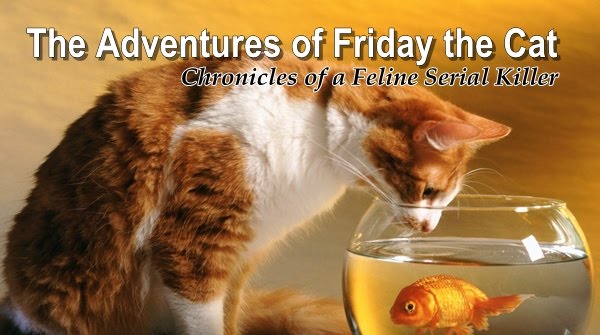 The Adventures of Friday the Cat