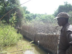 [P1030491_smallJohnriver.jpg]