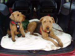 All snug in our car