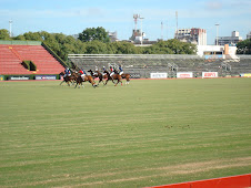 A polo match at last!