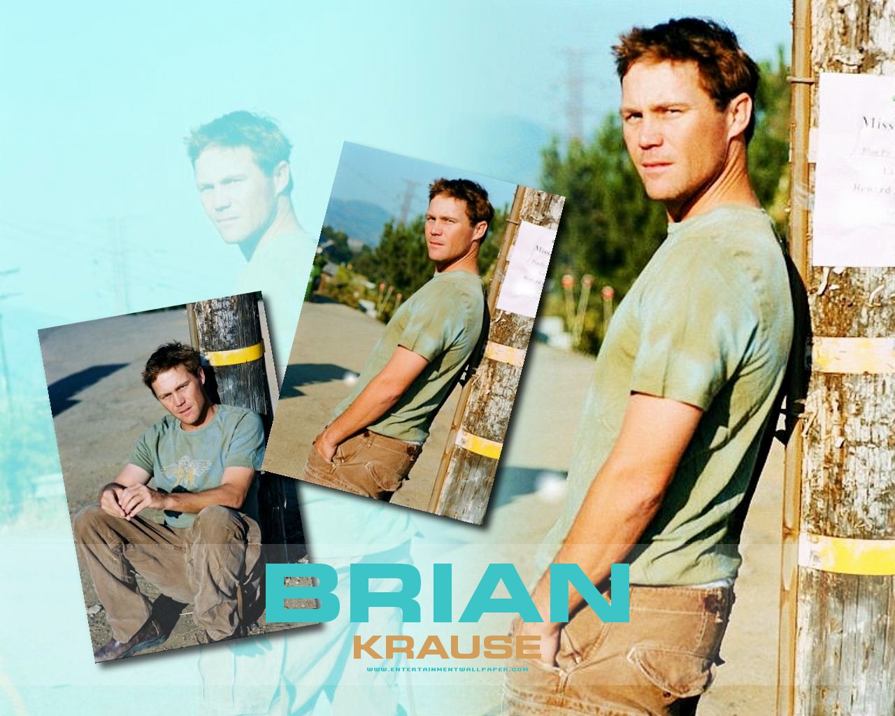 http://2.bp.blogspot.com/_FvIPmG6kolA/TEI7QvUz6dI/AAAAAAAAB-Y/9M5FoJnTTGA/s1600/brian_krause05.jpg