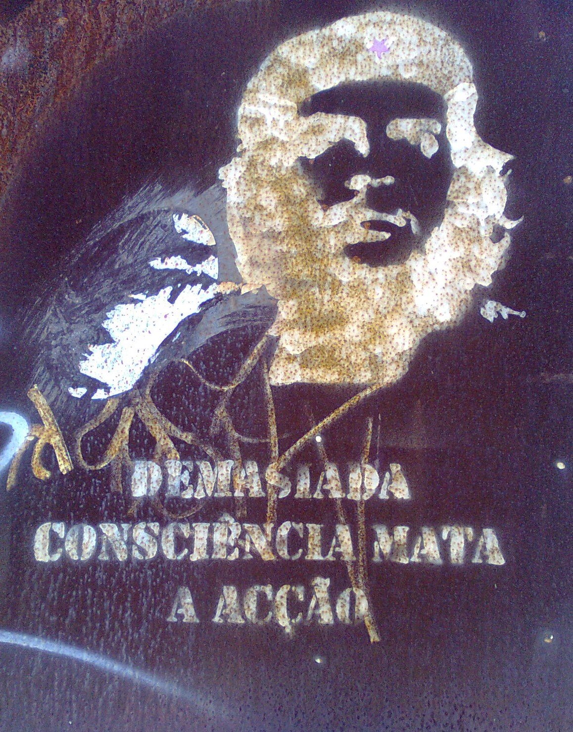 [Imagem0338.jpg]