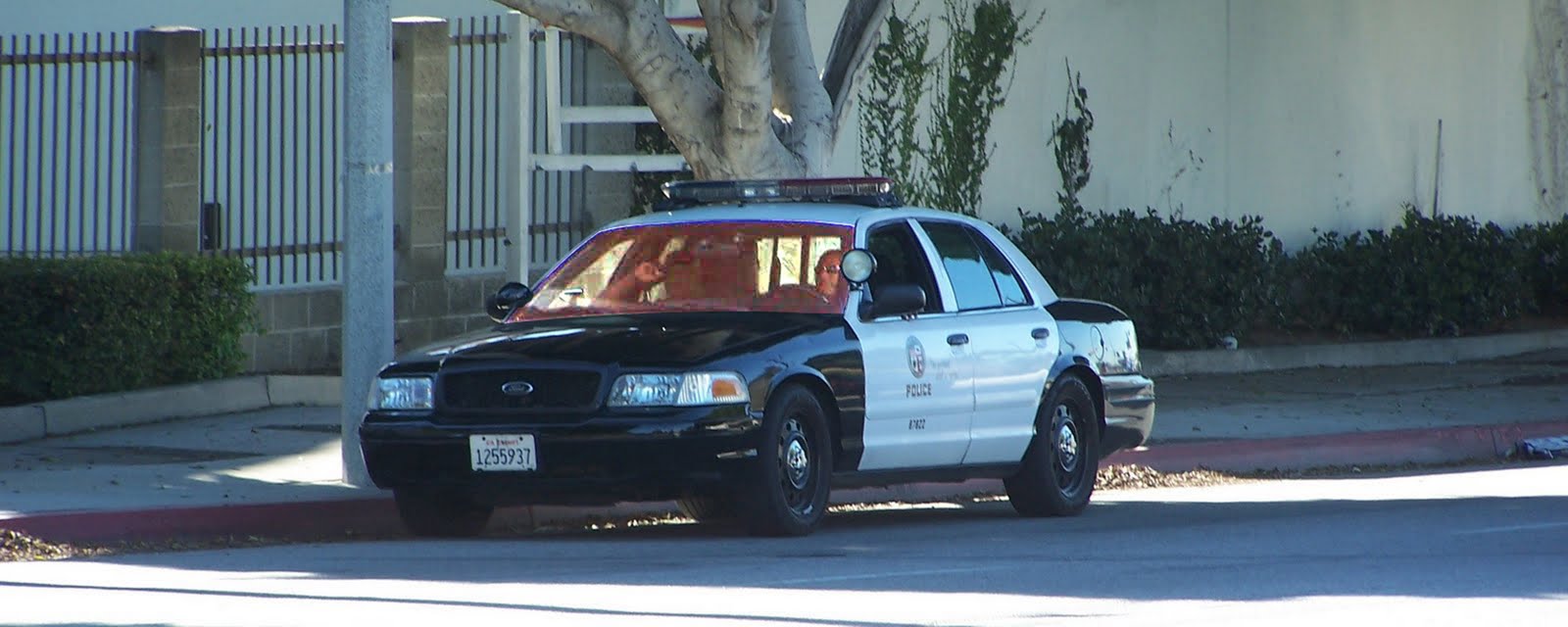 ... against the illegal dumping of sex offenders in the El Sereno Community? ... against the illegal dumping of sex offenders in the El Sereno Community?