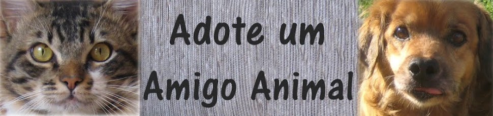 Adote um Amigo Animal