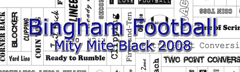 Bingham Mity Mite Black 2008