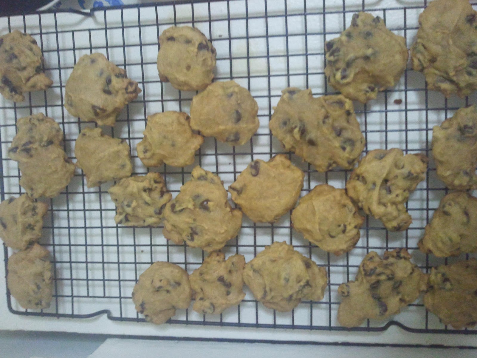 Playbills & Pageantry November 2010