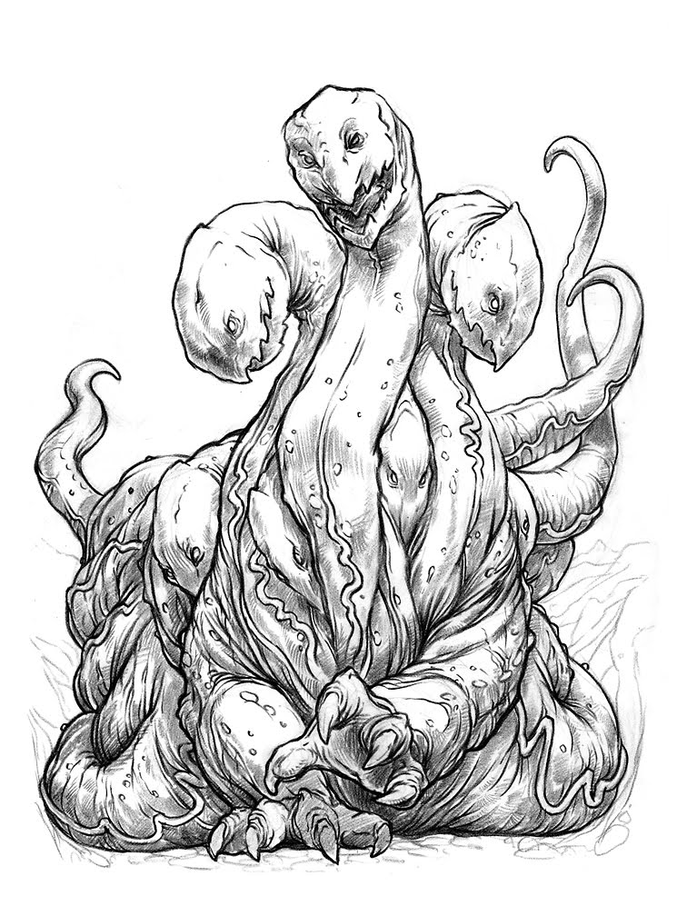 Hydra Drawing