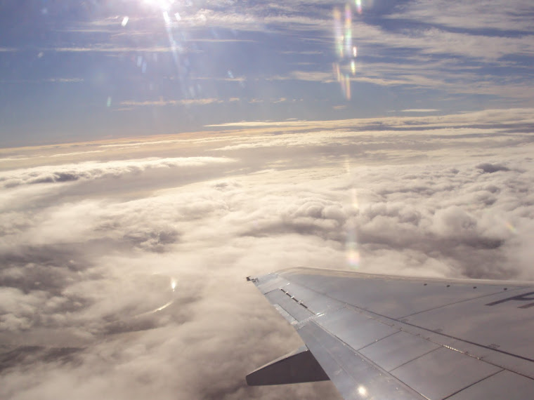 Foto básica no avião