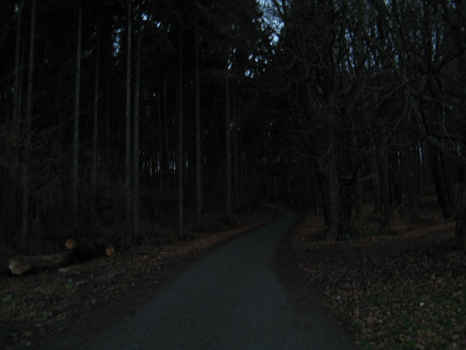 [IMG_0321+1.JPG]
