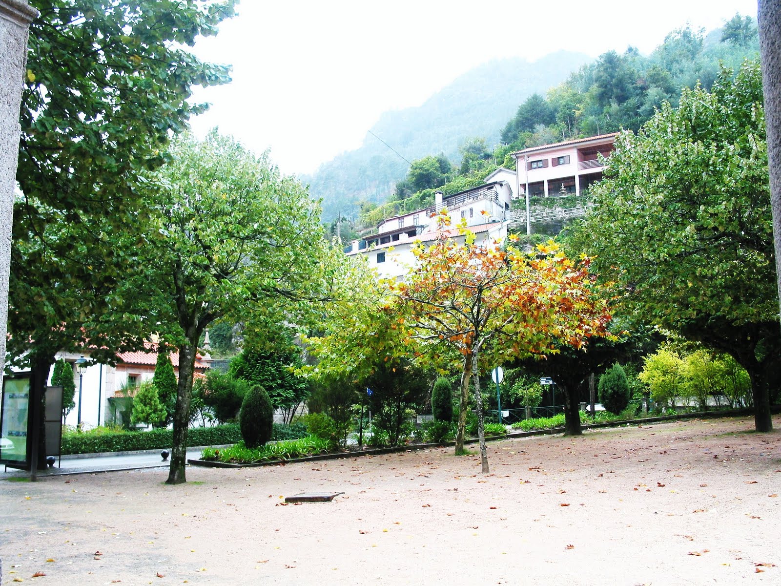 [IMG_2001.JPG]
