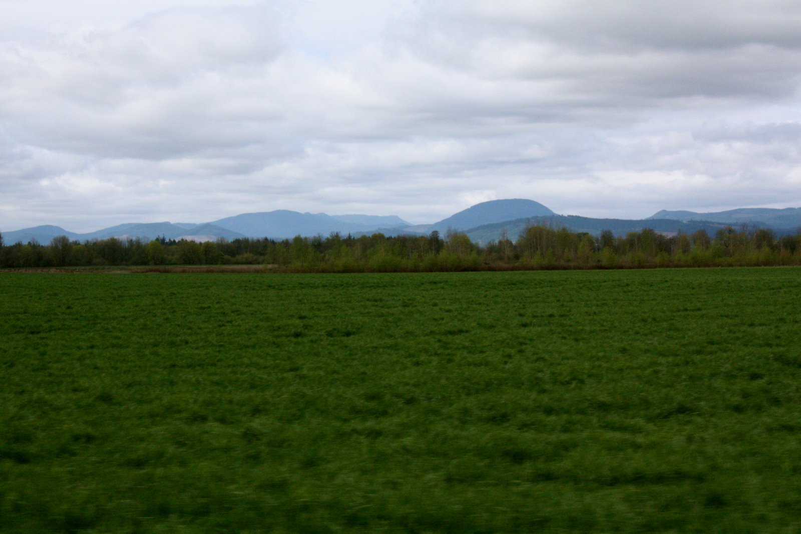 [IMG_2557.JPG]