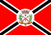 Bandeira de Salinas - MG