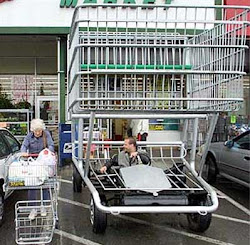 Costco Trolleys