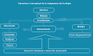 Programa de estudio de la Materia