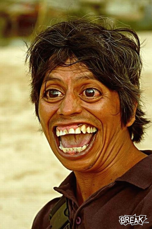 binatang, gambar binatang, binatang binatang aneh, binatang binatang