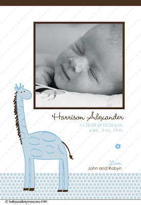 giraffe photo baby birth announcement by baby card expressions