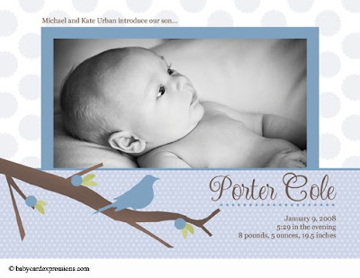 bird on a branch photo baby birth announcement