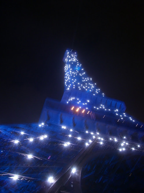 Eiffel is blue for 6 months in honor of Paris being EU Capital