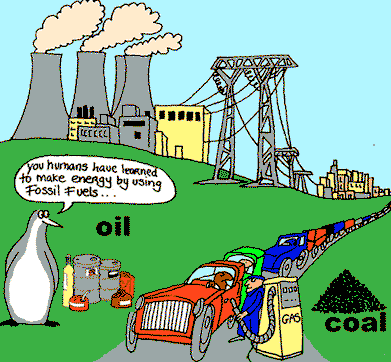 Top 10 Renewable Energy Sources - Listverse
