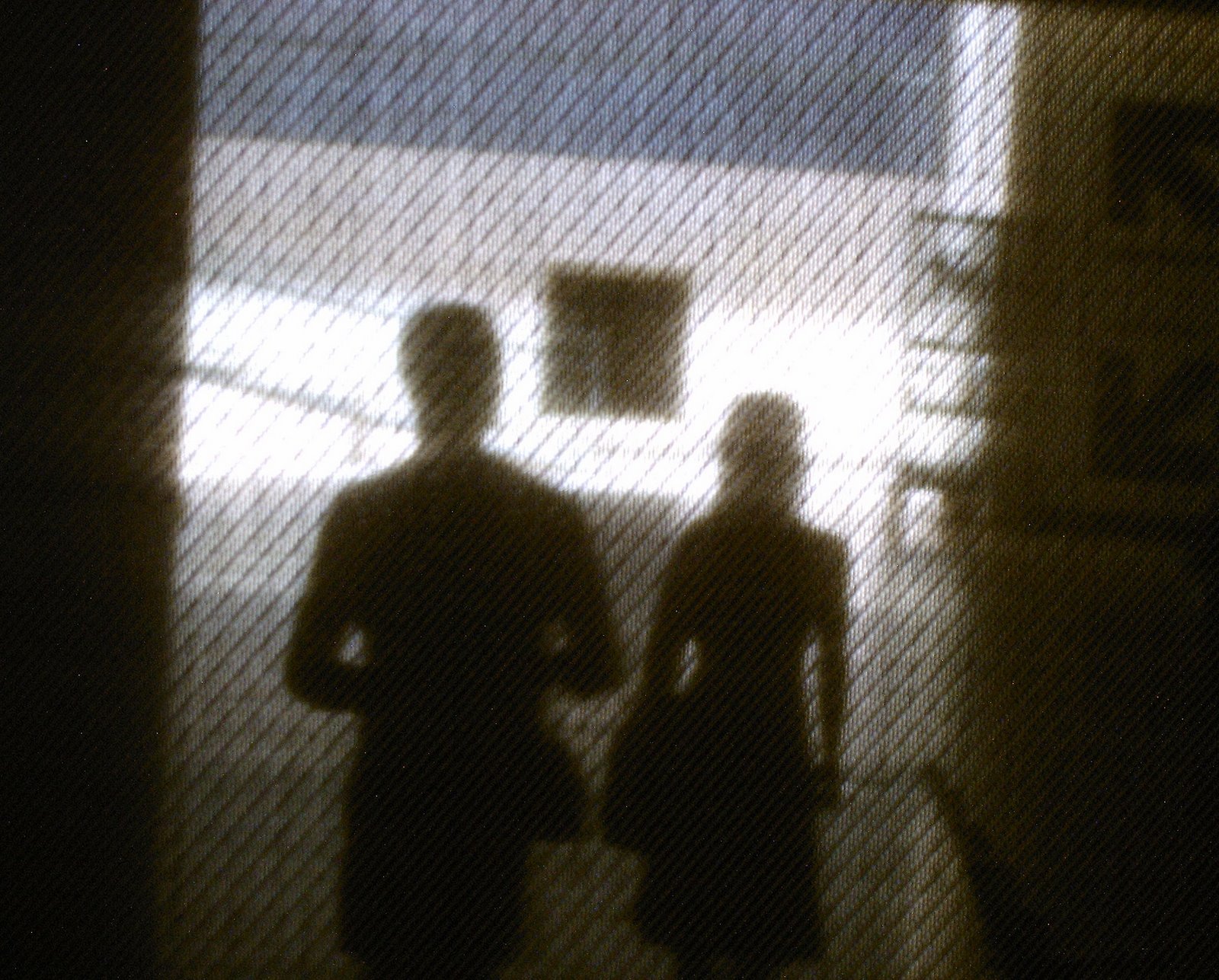 [IMAG0065.JPG]
