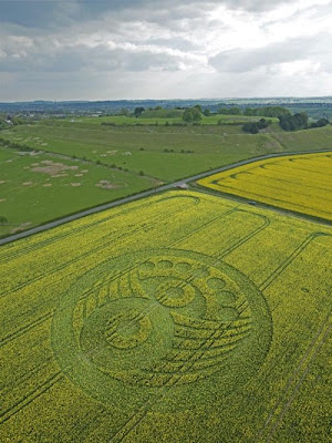 100 foto crop circle - www.pictsel.co.cc