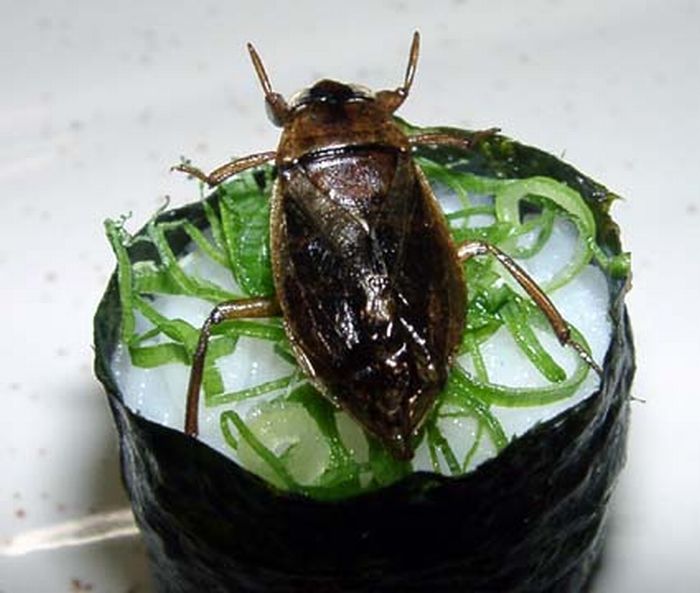 Sushi de insetos