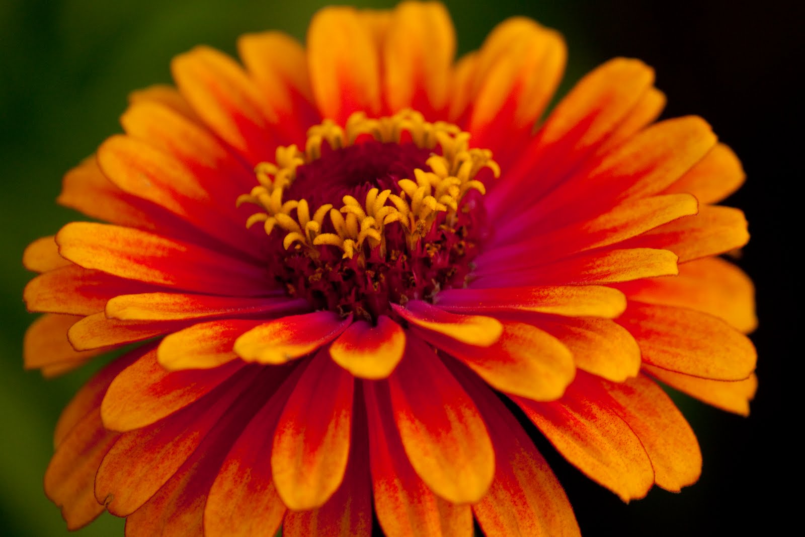 Matt Roginski Photography July 2010