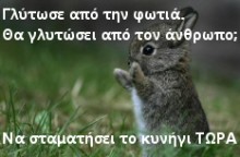 [rabbj9.jpg]