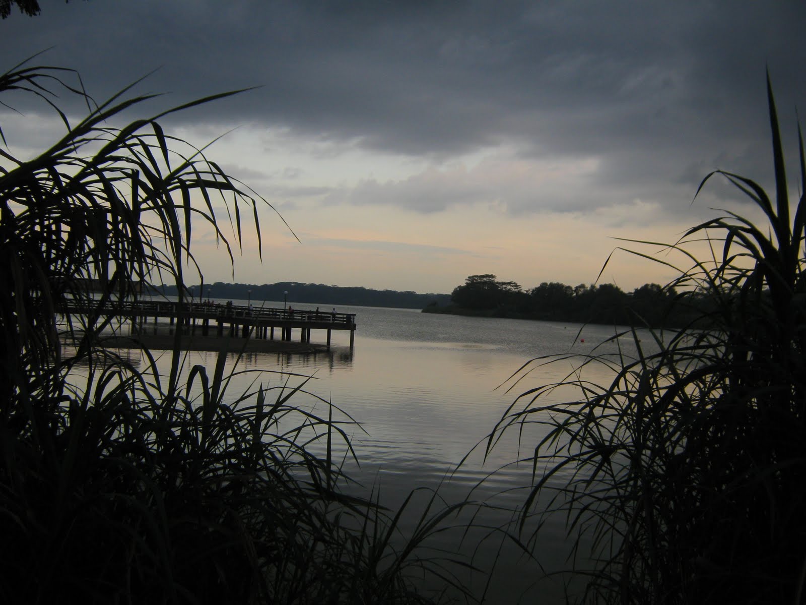 [IMG_1754.JPG]