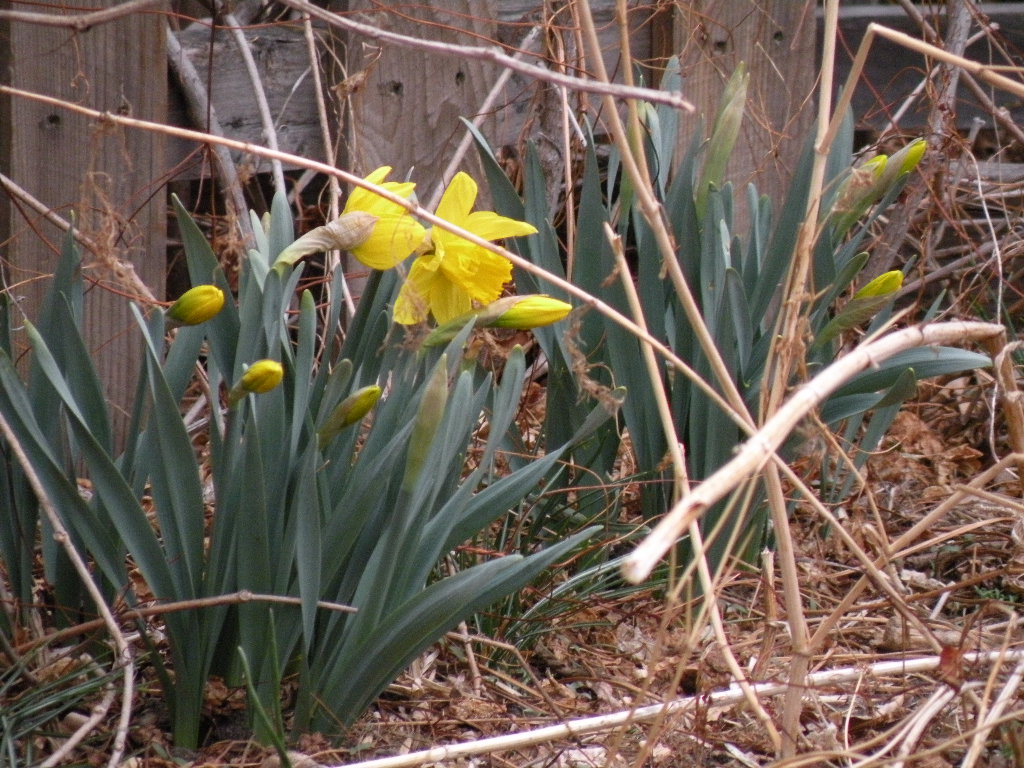 [welcome+spring.JPG]