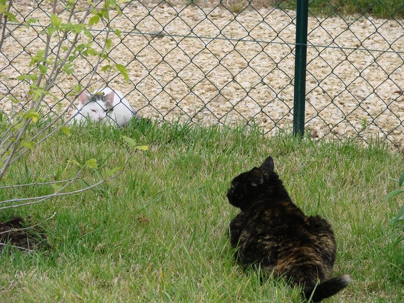 [anniversaire+017.jpg]