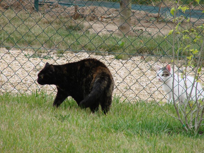 [anniversaire+010.jpg]