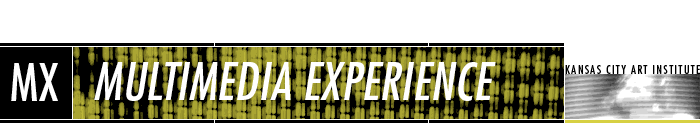 multimedia experience