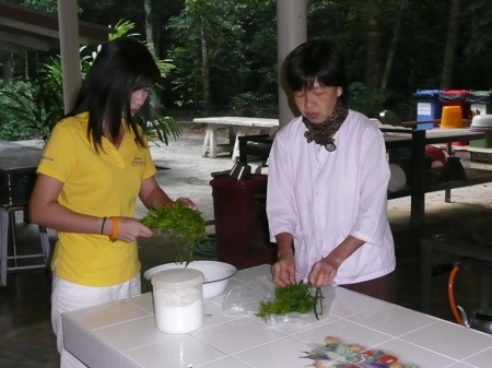 In the kitchen