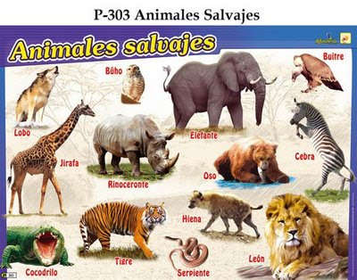 Animales salvajes