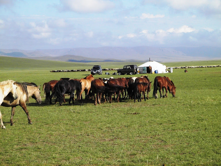 Astonishing Mongolia