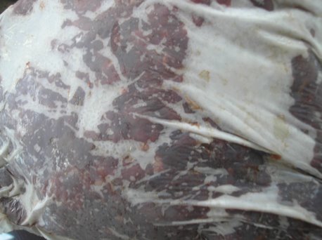 Carne Congelada en bolsa