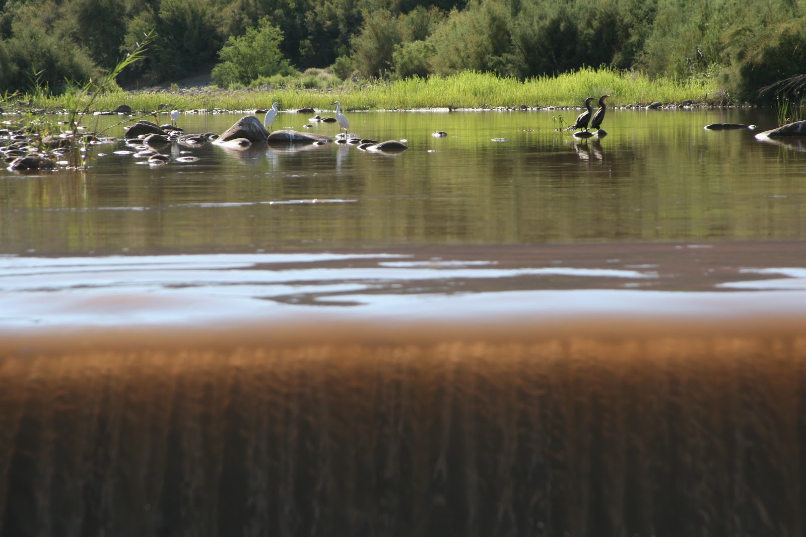 Darren's Rides Trip To Young AZ.
