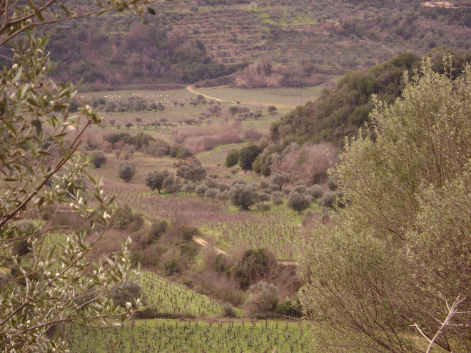 ο κάμπος