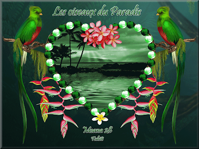 Mardi 08 Mars Les+oiseaux+du+paradis