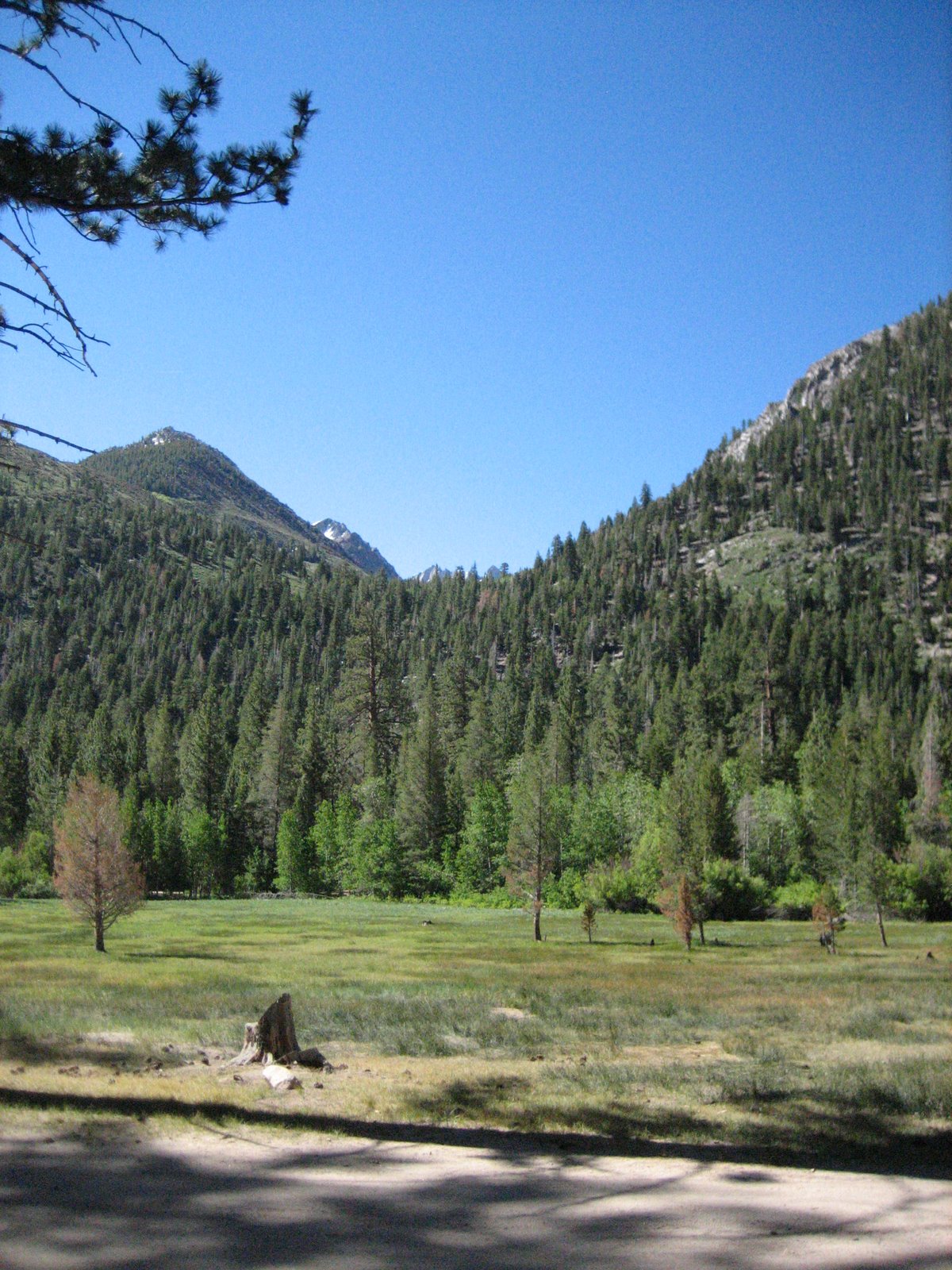 [IMG_4544.JPG]