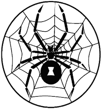 Loan Spider
