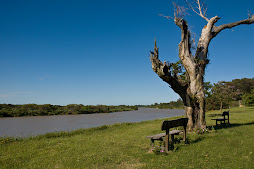 Costa del río San Javier