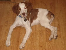 Sadie - November 10, 2007
