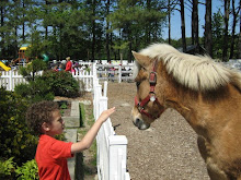 Elijah and his Friend