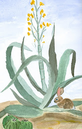 Tucson Bunny 2 in Watercolor