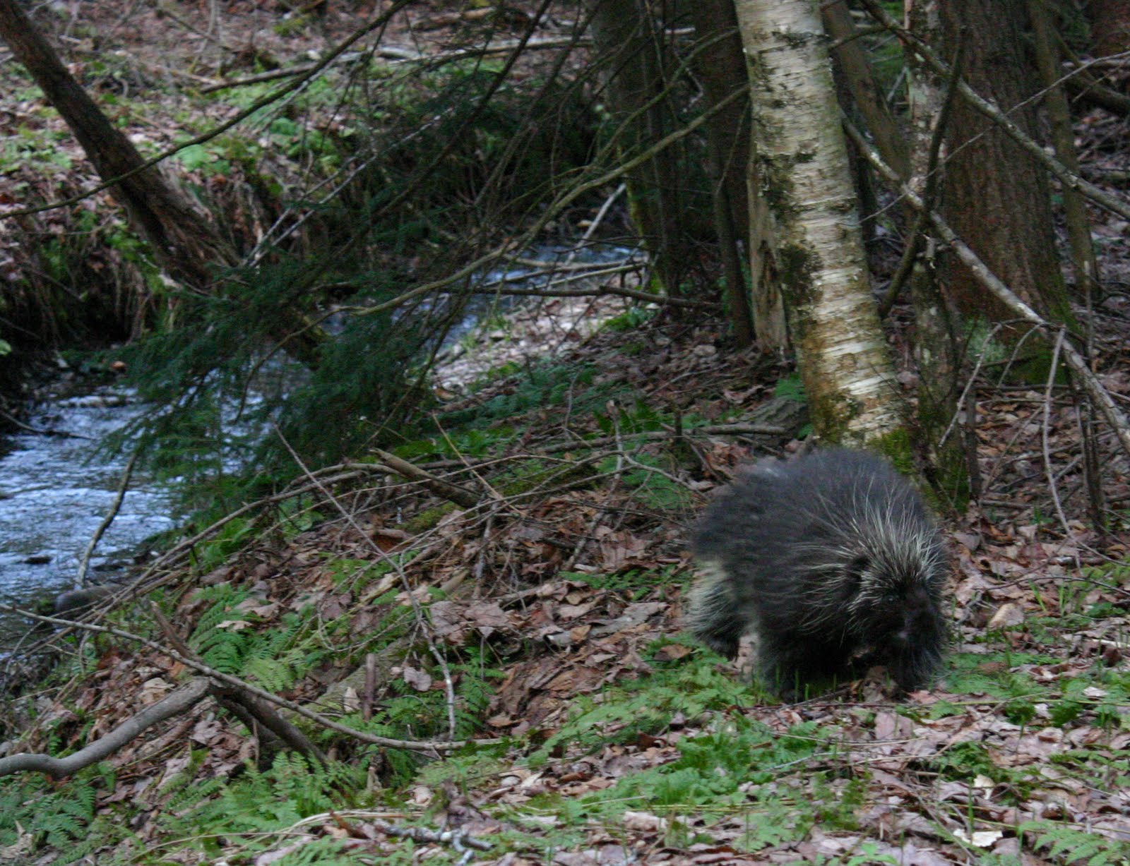 montagne ne se rencontre pas