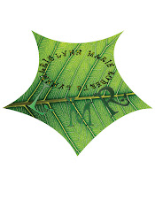 Lynn Roberts Logo