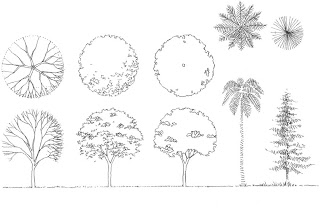 Architectural Drawing Trees